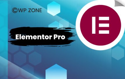 Elementor Pro SEO