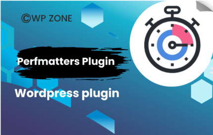 Perfmatters Plugin 2.4.7