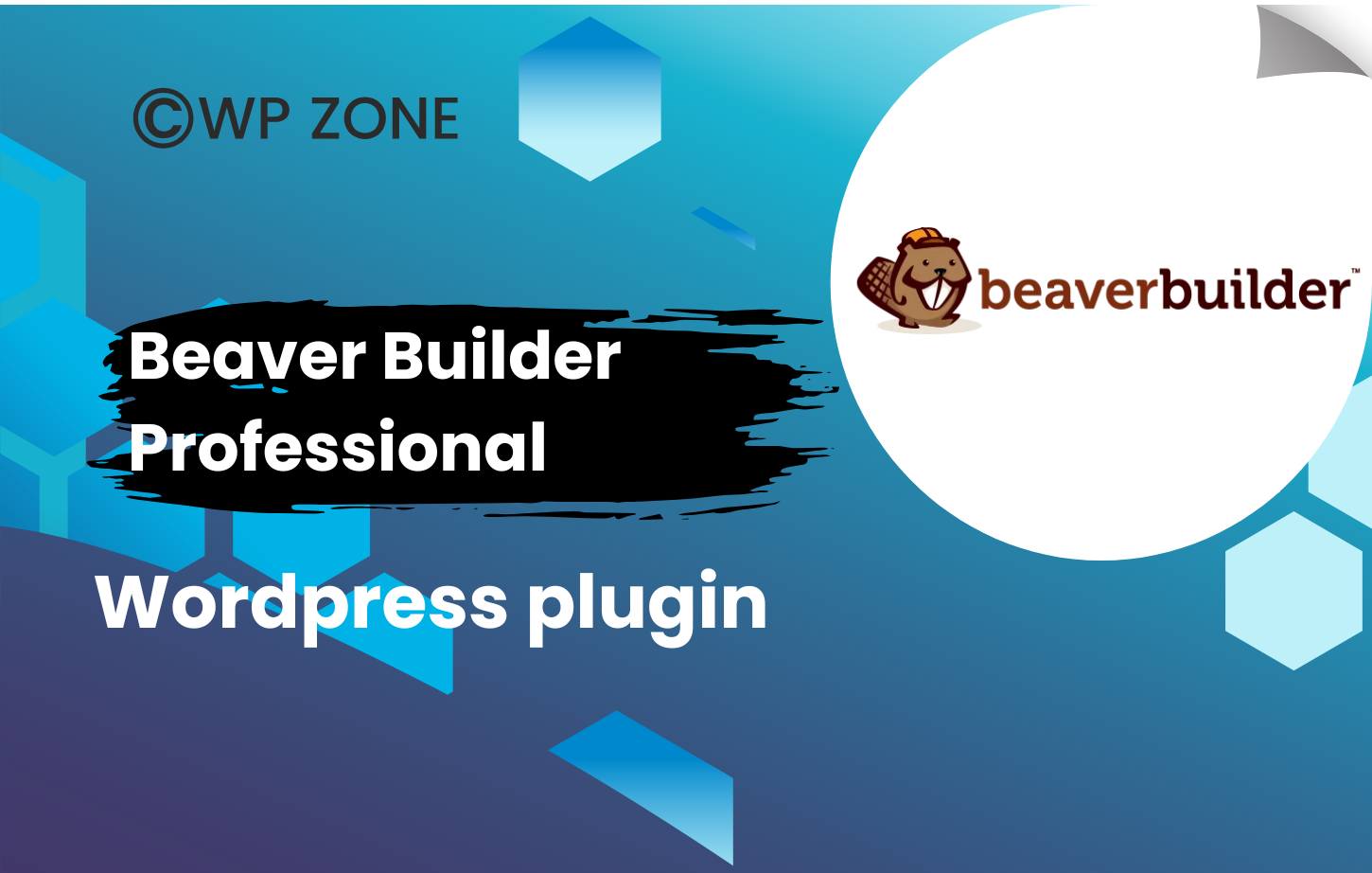 plugin (4) Beaver Builder Professional WordPress Plugin 2.9.2.1