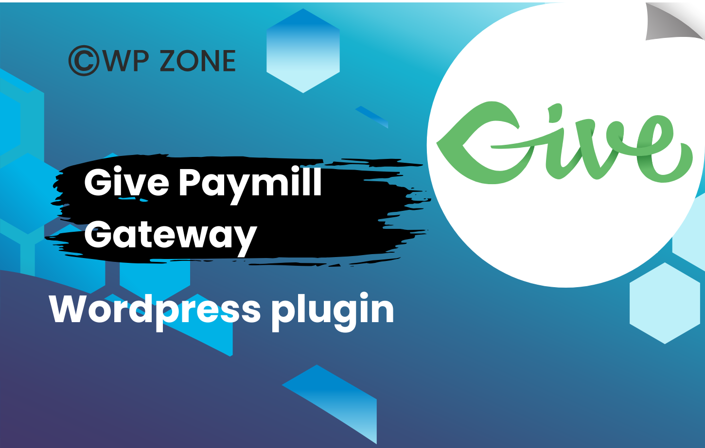 plugin (20) Give Paymill Gateway 1.1.1