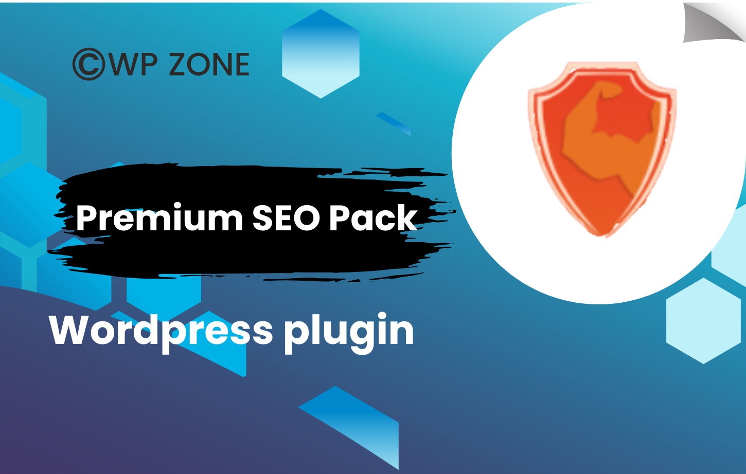 plugin (4) Premium SEO Pack – Wordpress Plugin 3.3.2