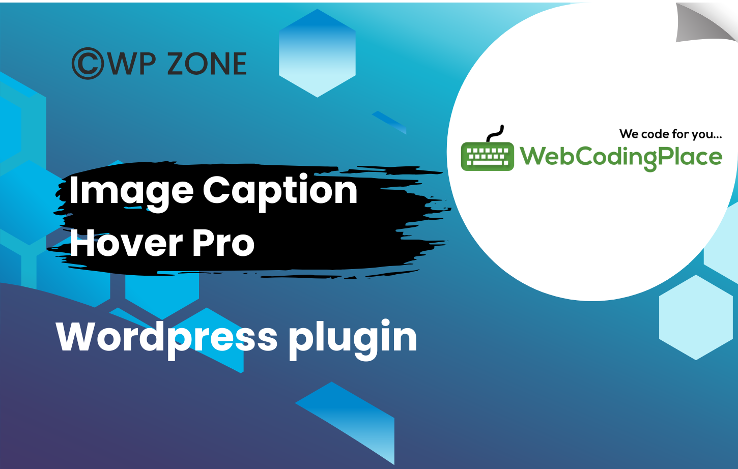 plugin (1) Image Caption Hover Pro WordPress Plugin