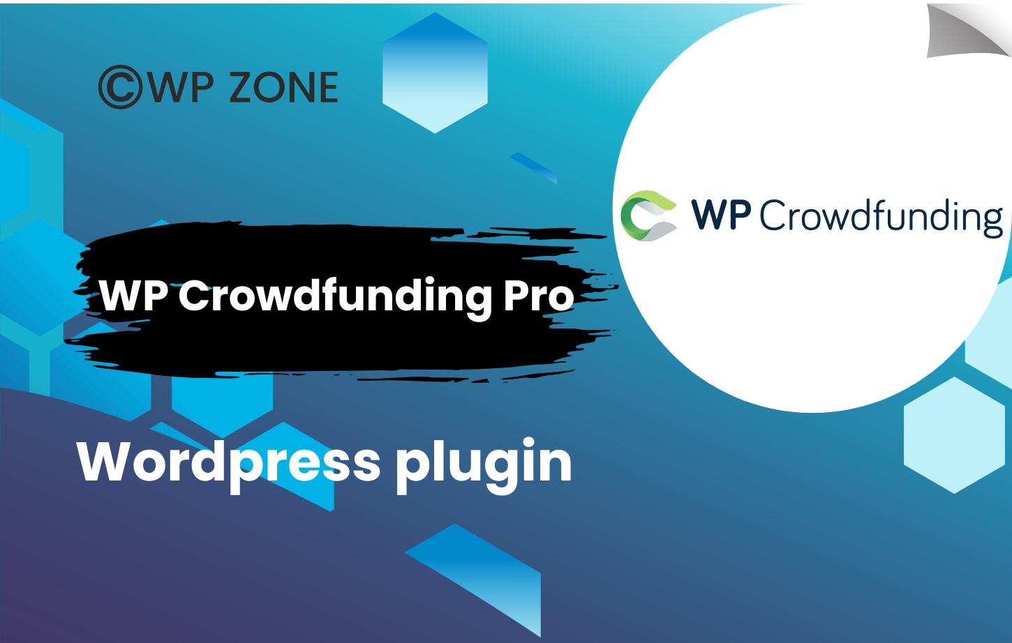 plugin (1) WP Crowdfunding Pro plugin 11.2.1