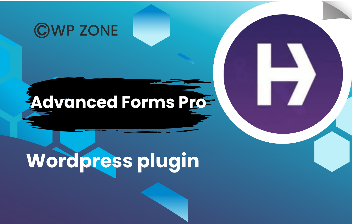 plugin Advanced Forms Pro for ACF 1.9.3.6