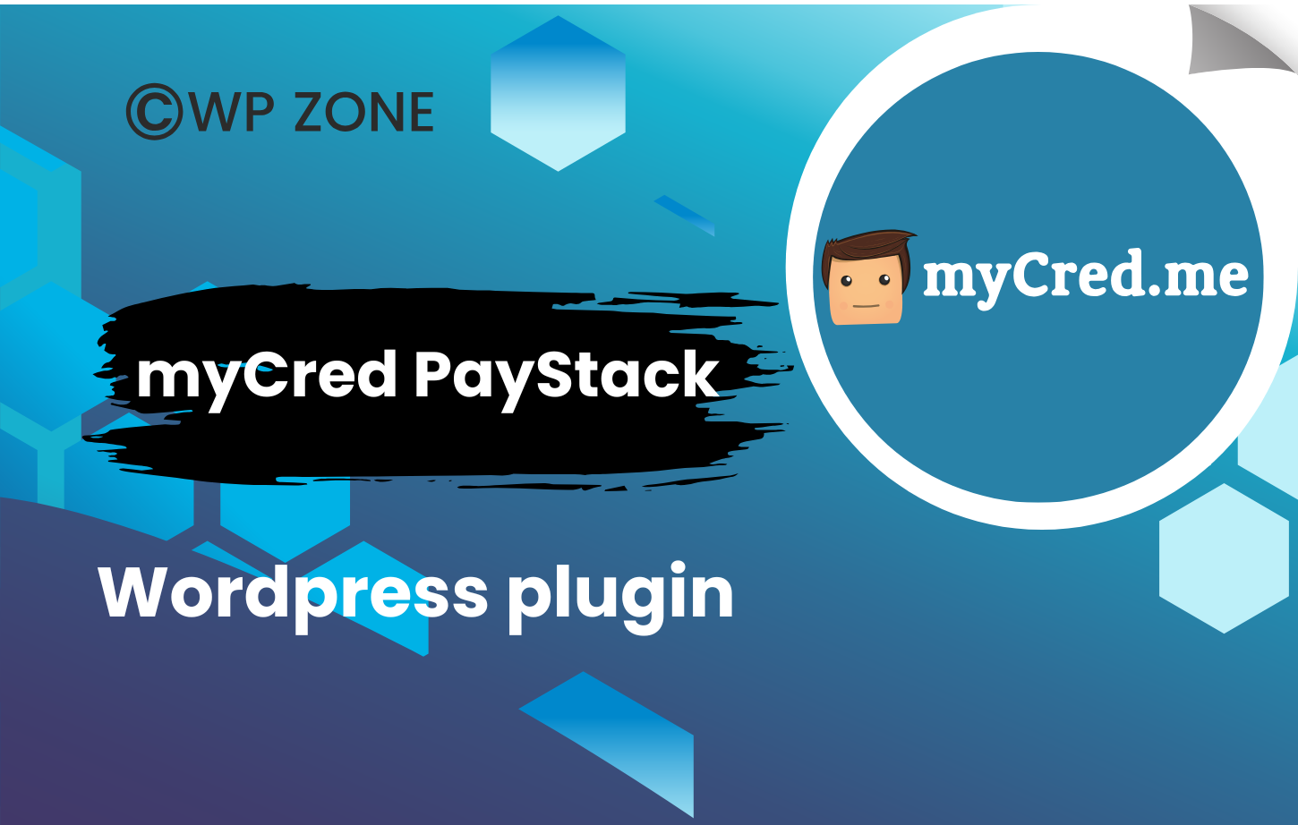 plugin (1) myCred – PayStack 1.0.1
