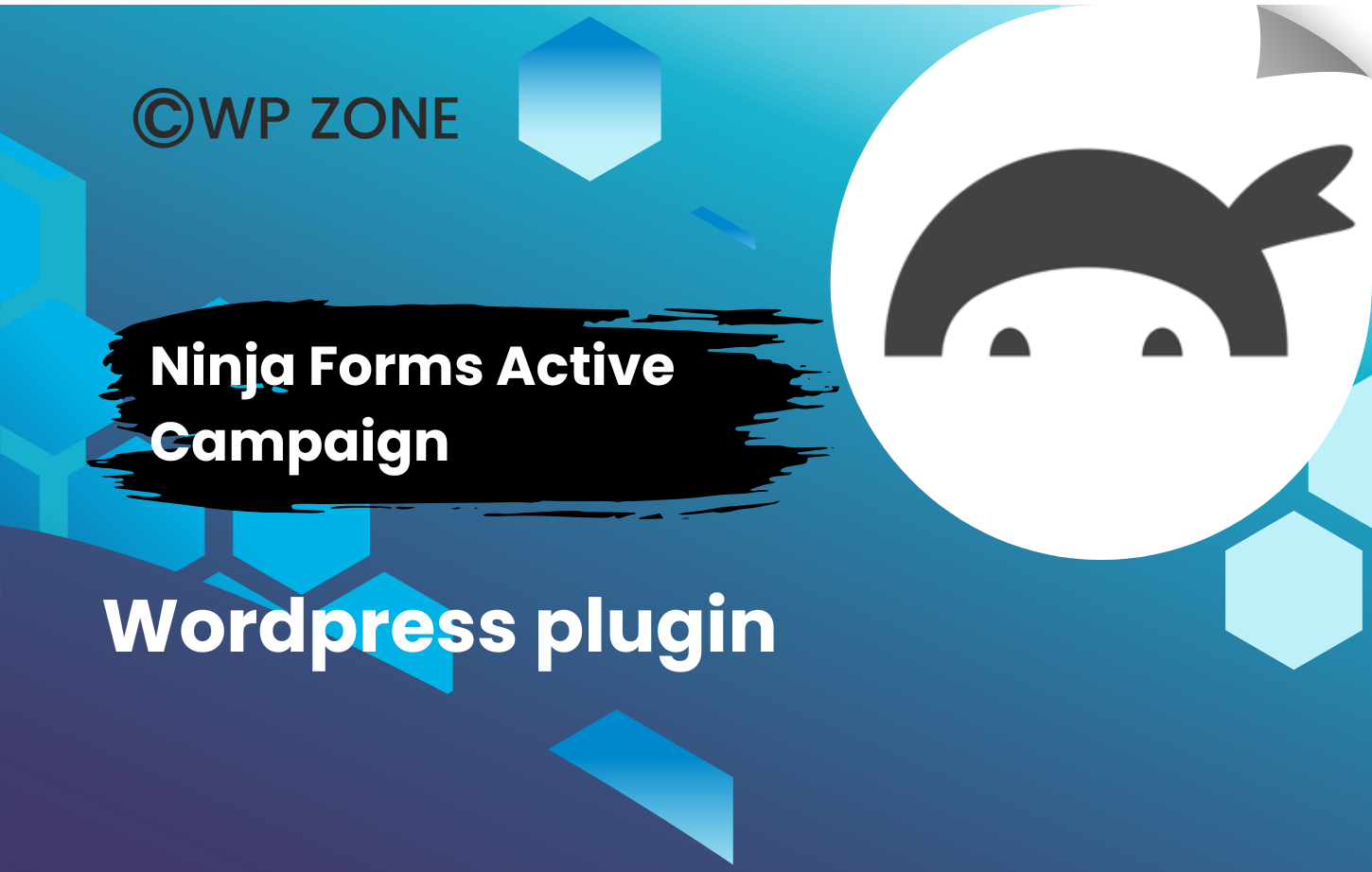plugin (6) Ninja Forms Active Campaign 3.1.3