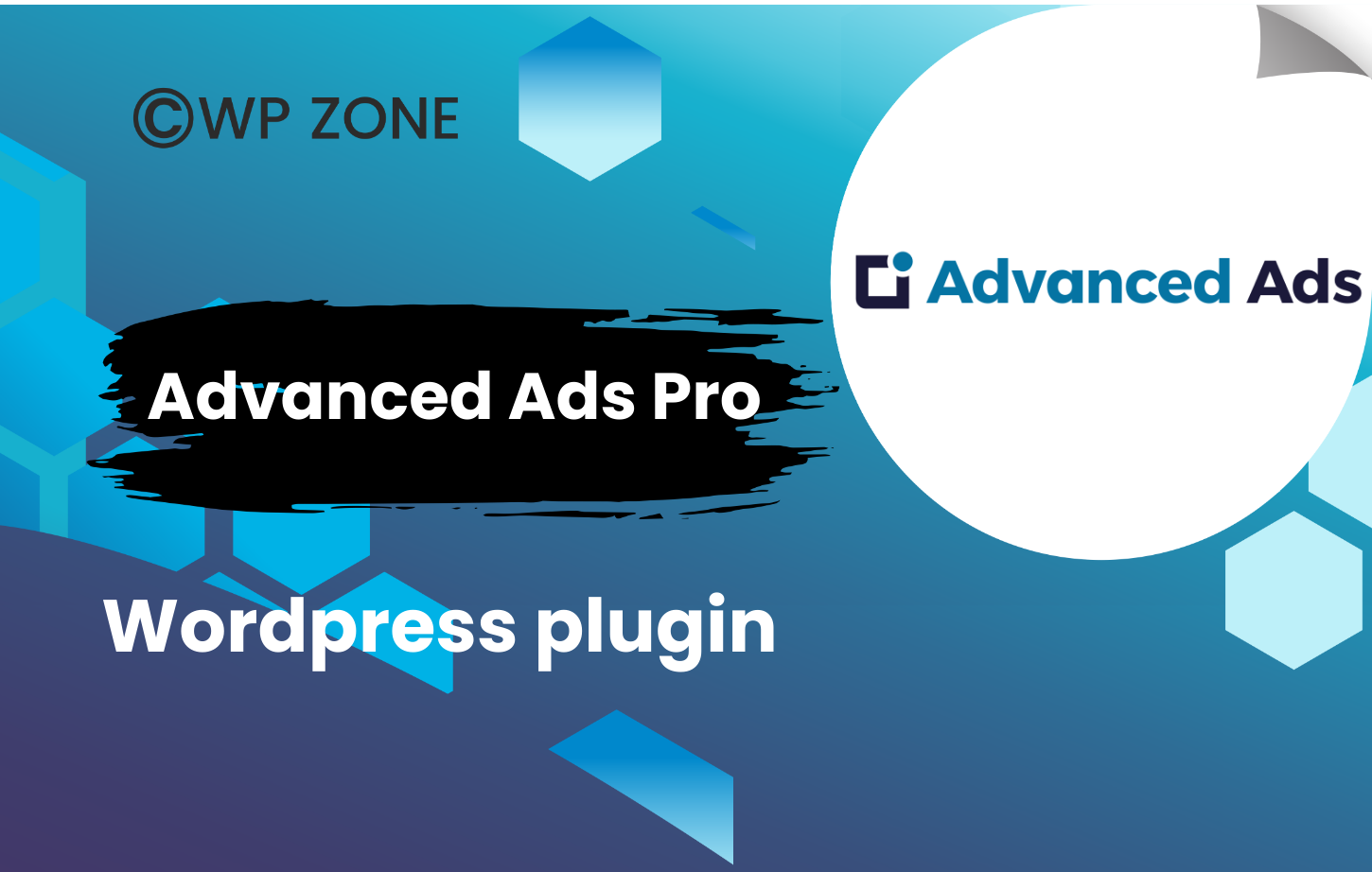 plugin (5) Advanced Ads Pro WordPress plugin 3.0.8